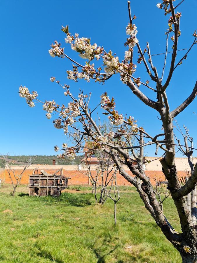 Casa Rural Las Aguedas Murias de Rechivaldo Exterior photo